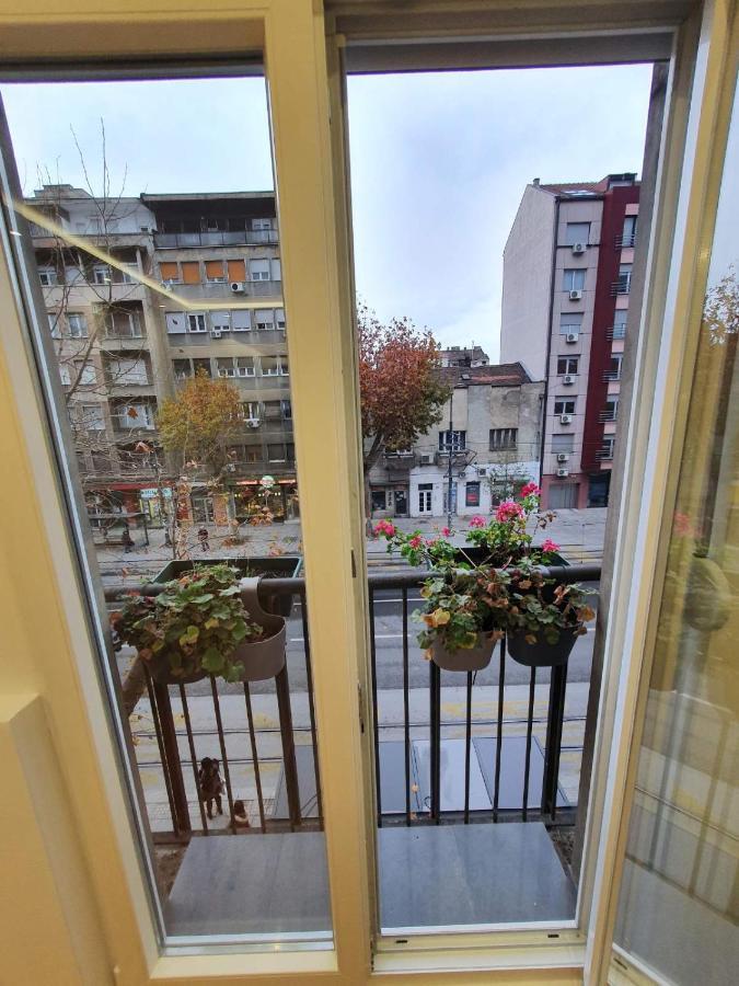 Apartment, Stari Grad, 贝尔格莱德 外观 照片